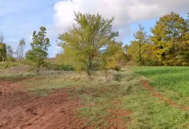 Istra, Žminj - građevinsko zemljište, odlična lokacija, Žminj, Arazi