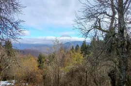 Hrib - samostojeća kuća 240 m2 sa okućnicom i prekrasnim otvorenim pogledom, Čabar, Famiglia