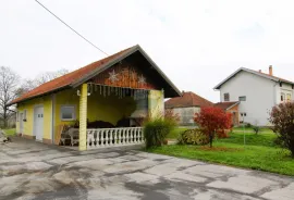 Pisarovina, Bratina, Obiteljska kuća 590m2, okućnica 3868m2, garaža, Pisarovina, Haus