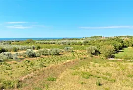 Istra,Vodnjan-Građevinsko zemljište panoramskog pogleda s građevinskom dozvolom, Vodnjan, Terra