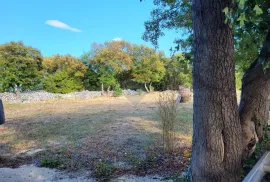 Istra, Marčana okolica, nova kuća sa 5500m2 građevinskog zemljišta, Marčana, Дом