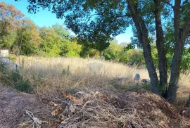 Istra, Marčana okolica, nova kuća sa 5500m2 građevinskog zemljišta, Marčana, Haus