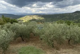 Pazin - Okolica, predivno zemljište sa pogledom na Butonigu i Ćićariju, Pazin - Okolica, Arazi