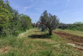 Istra,Fažana - legalizirana kuća 70m2 na okućnici od 3500m2, Fažana, Famiglia