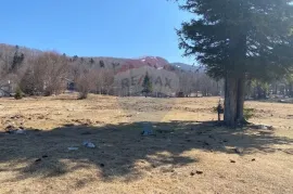 PLATAK - Građevinsko zemljište 4668 m2, Čavle, Terreno