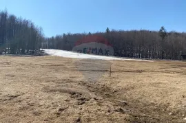 PLATAK - Građevinsko zemljište 4668 m2, Čavle, Terreno