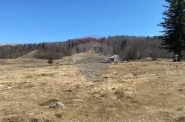 PLATAK - Građevinsko zemljište 4668 m2, Čavle, Land