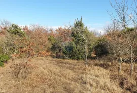 Istra, Juršići - poljoprivredno zemljište 19770 m2, Svetvinčenat, أرض