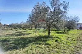 ISTRA, GALIŽANA Poljoprivredno zemljište na rubu urbanizacije, Vodnjan, Terrain