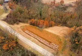 ISTRA, ŽMINJ - Građevinsko zemljište na osamini, Žminj, أرض