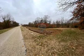 ISTRA, ŽMINJ - Građevinsko zemljište na osamini, Žminj, Terrain