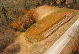 ISTRA, ŽMINJ - Građevinsko zemljište na osamini, Žminj, Terreno