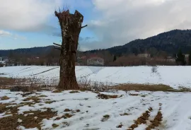 Građevinski teren sa ucrtanom kućom - Jasenak, Ogulin, Terra