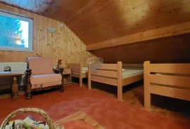 Obiteljska kuća sa apartmanom Bjelolasica, Ogulin, House