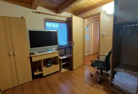 Obiteljska kuća sa apartmanom Bjelolasica, Ogulin, House