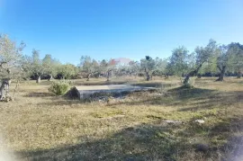 Istra, Fažana - vikend zemljište sa stoljetnim maslinama, Fažana, Land