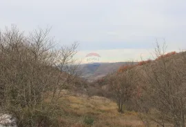 Istra,okolica Momjana, građevinski teren, Buje, Terreno