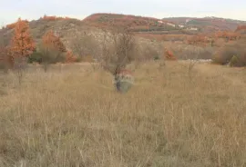 Istra,okolica Momjana, građevinski teren, Buje, Terrain