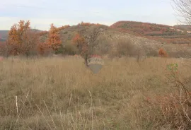 Istra,okolica Momjana, građevinski teren, Buje, Terreno