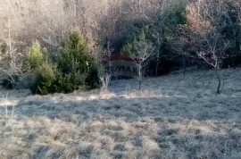 Žminj,2,5km 15200m2 poljoprivredno zemljište, Žminj, Land