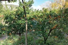 Opatija,Medveja,samostojeća kuća drugi red do mora, Lovran, Ev