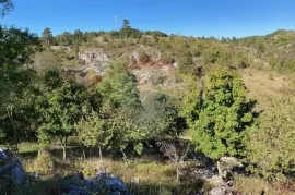 Trviž, zemljište turističke namjene 14374 m2, Pazin - Okolica, Arazi