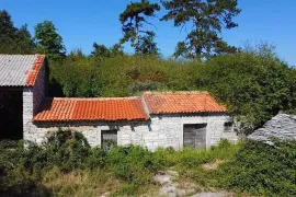 Polovica malog istarskog sela u blizini Žminja, Žminj, Famiglia