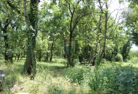 Čavle, građevinski teren 1834m2, Čavle, Γη