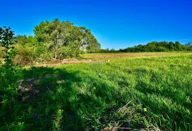 Ozalj; Trška - građevinsko zemljište 9227 m2 uz rijeku Kupu idealno za seoski turizam, Ozalj, Land