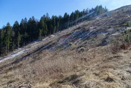 Gorski Kotar, Sunger - građevinsko poljoprivredni teren 22.364 m2, Mrkopalj, Land