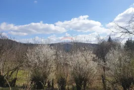 Lukovdol,kuća na kraju sela, Vrbovsko, Kuća