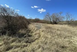 Poljoprivredna parcela u okolici Grožnjana, Grožnjan, Land