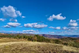 GRAĐEVINSKO ZEMLJIŠTE SA POGLEDOM NA MORE, Buje, Arazi