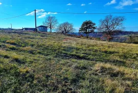 GRAĐEVINSKO ZEMLJIŠTE SA POGLEDOM NA MORE, Buje, Terrain