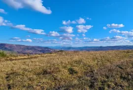 GRAĐEVINSKO ZEMLJIŠTE SA POGLEDOM NA MORE, Buje, Terrain