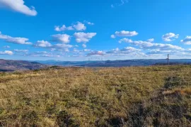 GRAĐEVINSKO ZEMLJIŠTE SA POGLEDOM NA MORE, Buje, Terreno