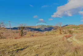 GRAĐEVINSKO ZEMLJIŠTE SA POGLEDOM NA MORE, Buje, Terreno