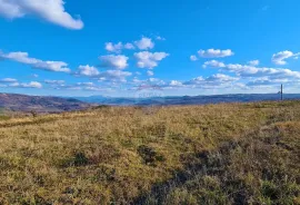 GRAĐEVINSKO ZEMLJIŠTE SA POGLEDOM NA MORE, Buje, Land