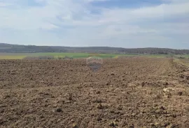 ISTRA,Buje poljoprivredno zemljište sa pogledom na more, Buje, Arazi