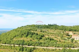 Istra,Momjan-Autohtona stancija na savršenoj lokaciji, Buje, Σπίτι