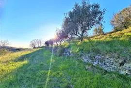 Istra,Momjan-Autohtona stancija na savršenoj lokaciji, Buje, Σπίτι