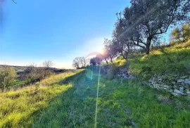 Istra,Momjan-Autohtona stancija na savršenoj lokaciji, Buje, Σπίτι