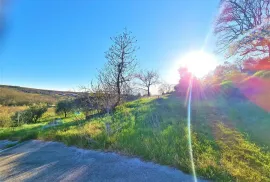 Istra,Momjan-Autohtona stancija na savršenoj lokaciji, Buje, Σπίτι