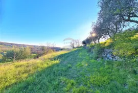 Istra,Momjan-Autohtona stancija na savršenoj lokaciji, Buje, Σπίτι