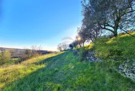 Istra,Momjan-Autohtona stancija na savršenoj lokaciji, Buje, Σπίτι