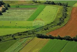 Istra.Grožnjan-Poljoprivredno zemljište, Grožnjan, Land