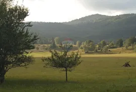 Stari Laz - autohtona kuća, Ravna Gora, Famiglia