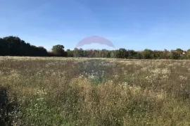 ISTRA, ŽMINJ - Industrijsko zemljište - komplet ili dio, Žminj, أرض