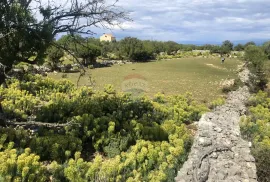 PUNTA KRIŽA - RAVAN GRAĐEVINSKI TEREN PRAVILNOG OBLIKA, Mali Lošinj, Tierra