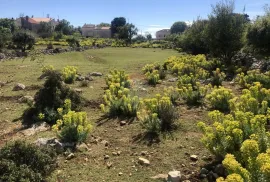 PUNTA KRIŽA - RAVAN GRAĐEVINSKI TEREN PRAVILNOG OBLIKA, Mali Lošinj, Tierra